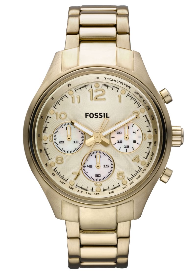 Fossil Flight CH2791