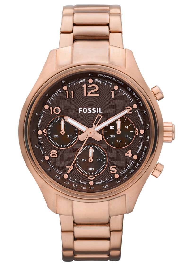 Fossil Flight CH2793