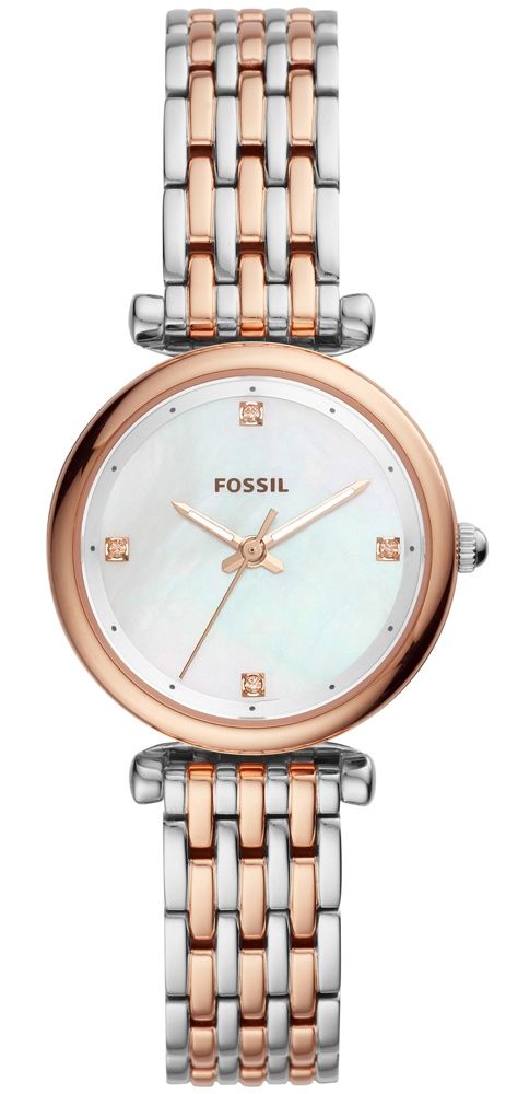 Es4431 fossil 2024