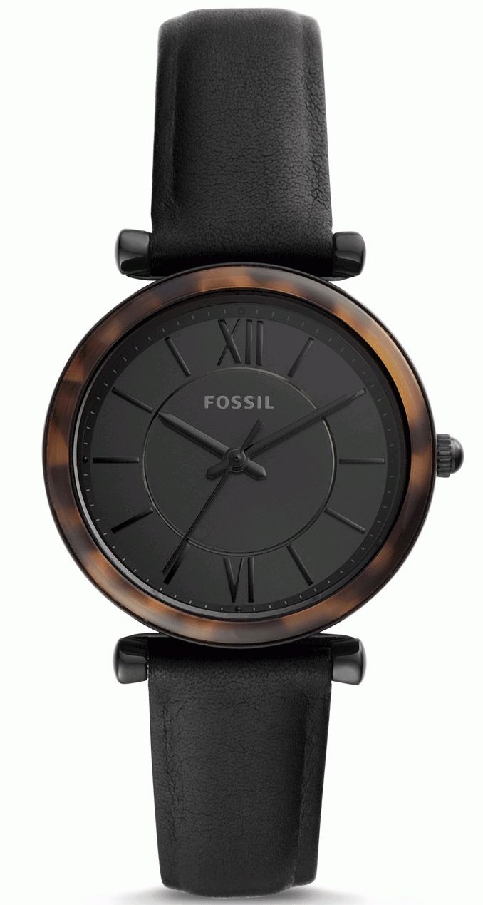 Tortoise shell fossil online watch